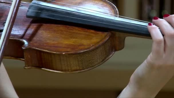 Close-up de músico menina tocando violino, mãos femininas com esmalte vermelho — Vídeo de Stock