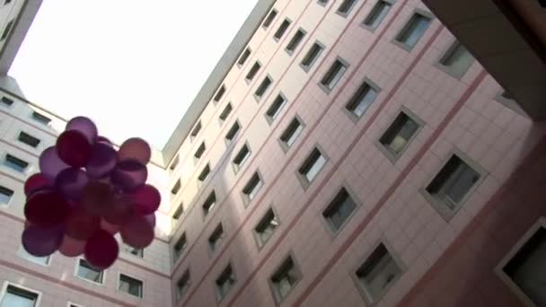 Ein Bündel bunter, mit Helium gefüllter Luftballons, die zusammengebunden davonfliegen — Stockvideo