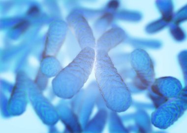 Kromozomlar X mikroskobik modelleri