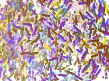 Gut bakterilerin microbiome
