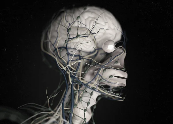 Sistema di impulsi cerebrali umani — Foto Stock