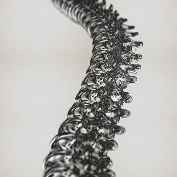 人体脊柱模型 — 图库照片