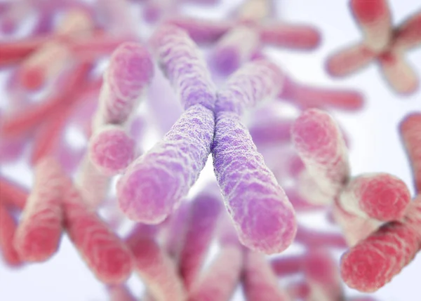 Cromosomi X modelli microscopici — Foto Stock
