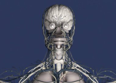 İnsan beyni itici sistem