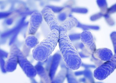 Chromosomes X microscopic models clipart