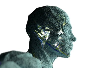 Anatomi modeli küçük parçacıkların yapılan