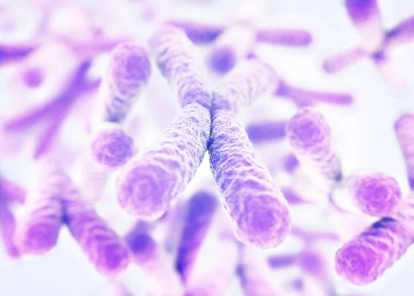 Хромосомы X-х микроскопических моделей — стоковое фото