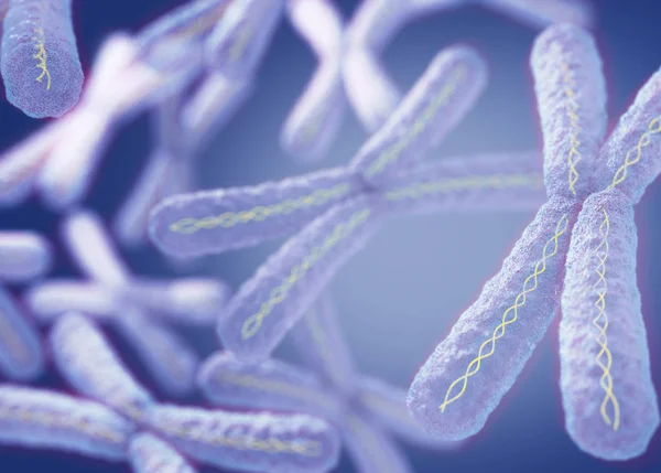 Хромосоми X мікроскопічні моделі — стокове фото