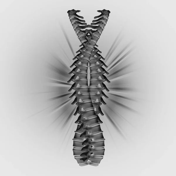 Due spine laminate — Foto Stock