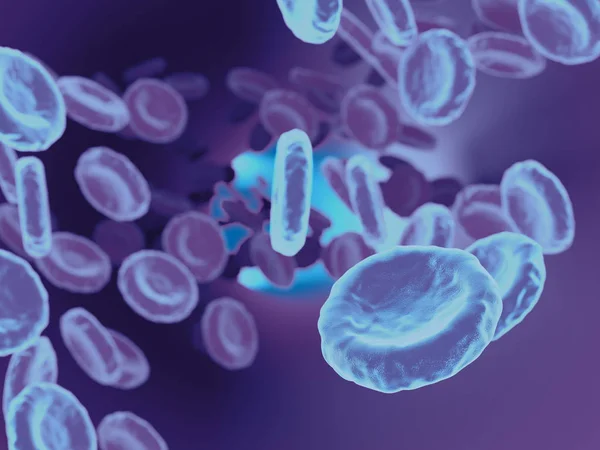 Blood Cells render — Stock Photo, Image