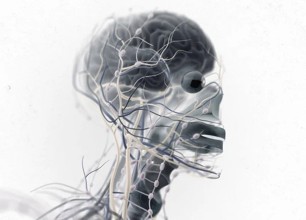 Menselijk brein impuls systeem — Stockfoto