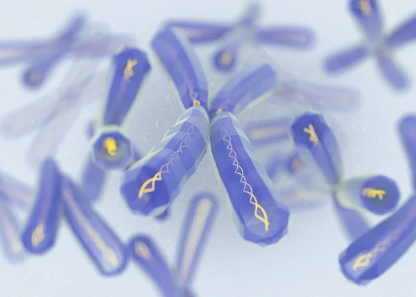 Chromosomes X microscopic models — Stock Photo, Image