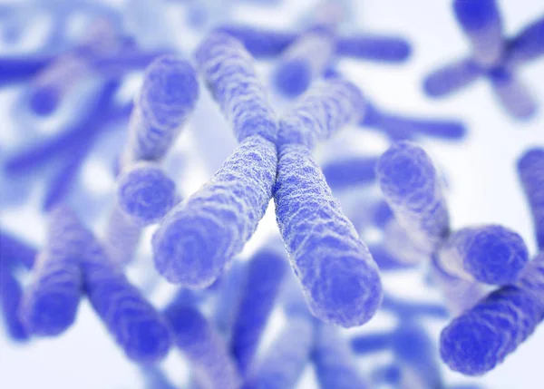 Chromosomes X microscopic models — Stock Photo, Image