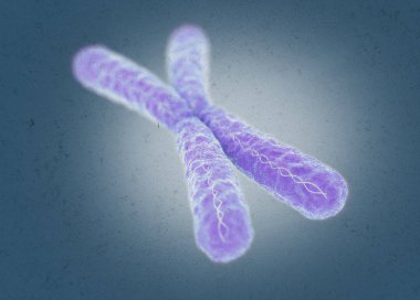 Chromosome X microscopic model clipart