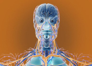 İnsan beyni itici sistem