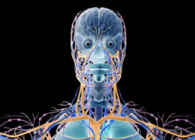 İnsan beyni itici sistem