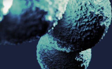 Mikrobiyoloji, mikroskobik hücre