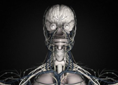 İnsan beyni itici sistem