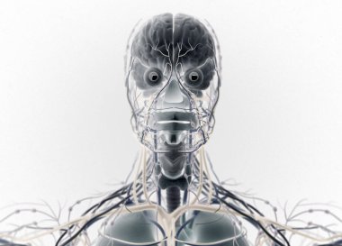 İnsan beyni itici sistem