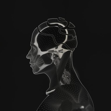 İnsan anatomisi, beyin