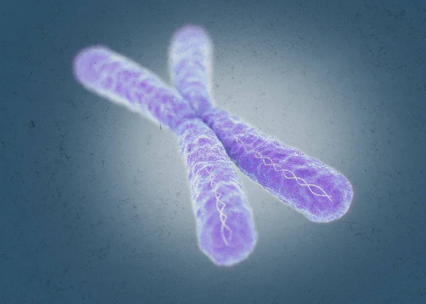 Modelo microscópico del cromosoma X — Foto de Stock