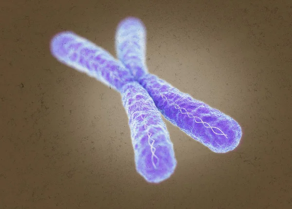 Chromosome X microscopic model — Stock Photo, Image