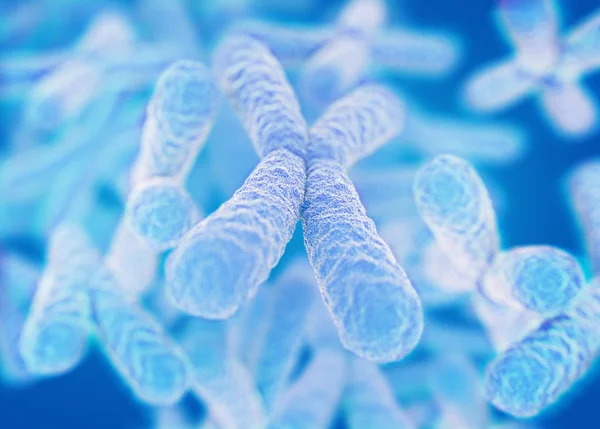 Cromossomas X modelos microscópicos — Fotografia de Stock