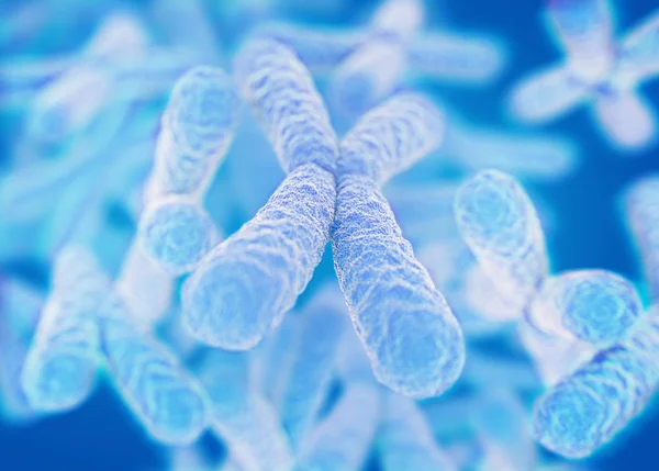 Chromosomen x mikroskopische Modelle — Stockfoto