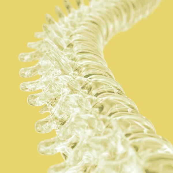 Modelo de columna vertebral humana —  Fotos de Stock