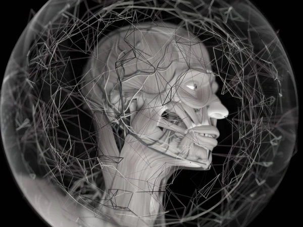 Virtuální lidské anatomie — Stock fotografie