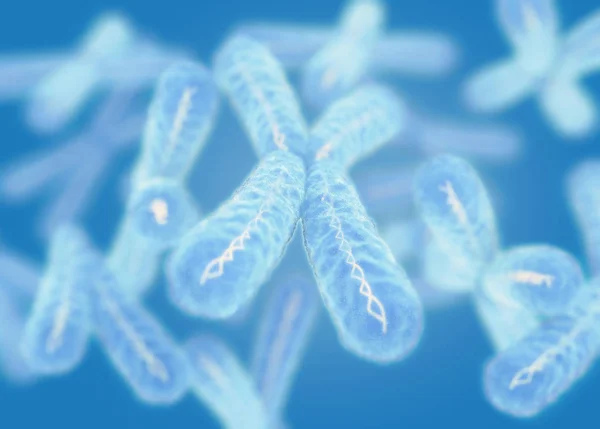 染色体 X 微观模型 — 图库照片