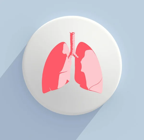 人間の肺の解剖学モデル アイコン — ストック写真