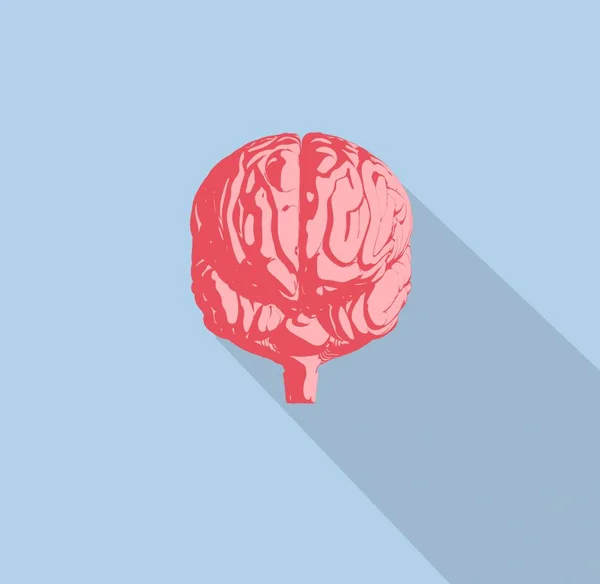 Піктограма анатомії людського мозку — стокове фото