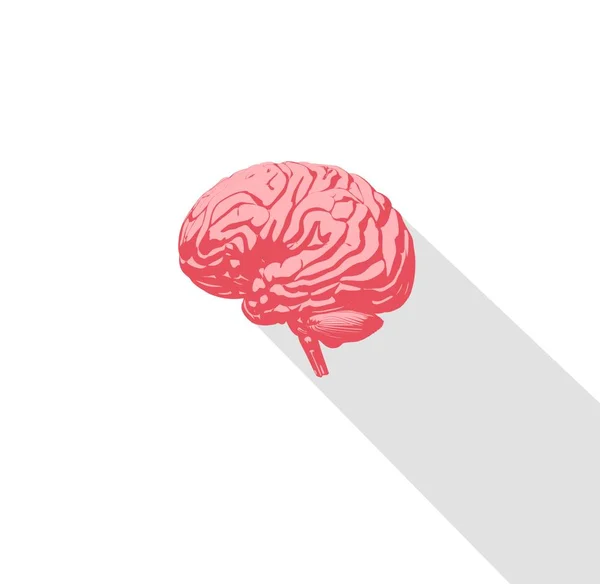 Піктограма анатомії людського мозку — стокове фото