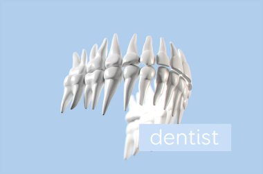 İnsan dişi anatomisi modeli