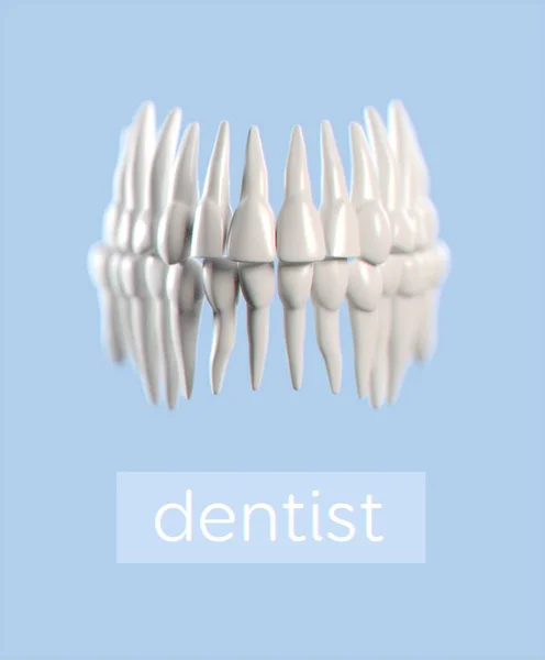 Model anatomii zębów ludzkich — Zdjęcie stockowe
