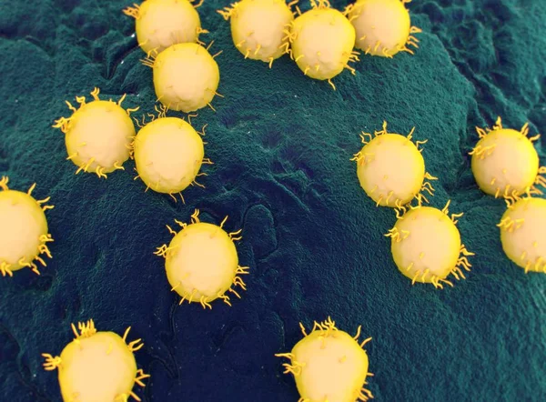 Virus Bacterias render — Stock Photo, Image