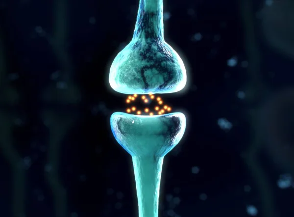電気信号を送るニューロン細胞 — ストック写真
