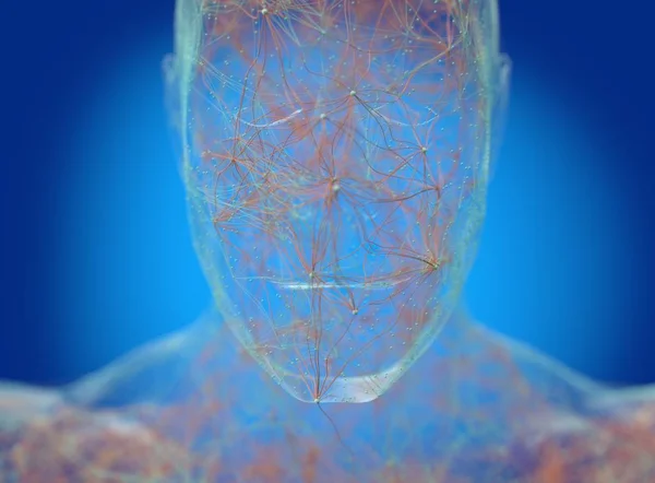 Neurologi tubuh manusia, sistem saraf — Stok Foto