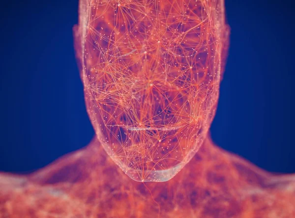 Неврология человеческого тела, нервная система — стоковое фото