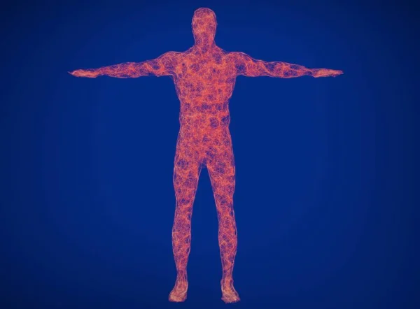 İnsan vücudu Nöroloji, sinir sistemi — Stok fotoğraf