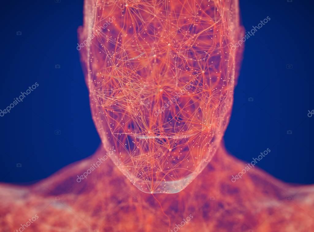 AnatomyInsider