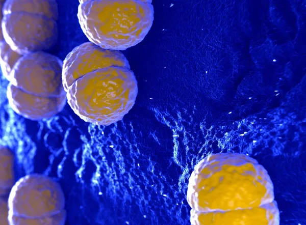 Neisseria meningitidis eller meningococcus bakterie — Stockfoto