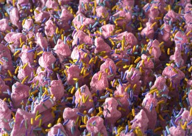 Gut bakterilerin microbiome