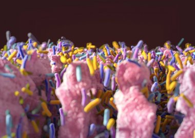 Gut bakterilerin microbiome