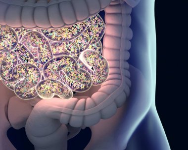 Gut bakterilerin microbiome
