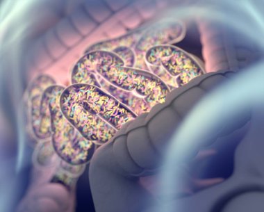 Gut bakterilerin microbiome