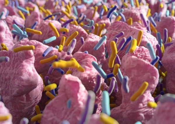 Gut bakterilerin microbiome