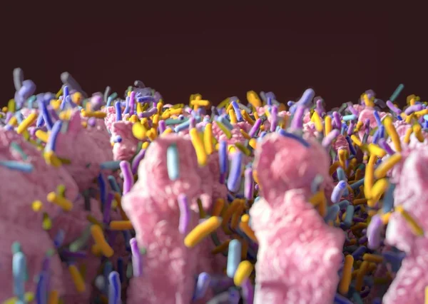Gut bakterilerin microbiome