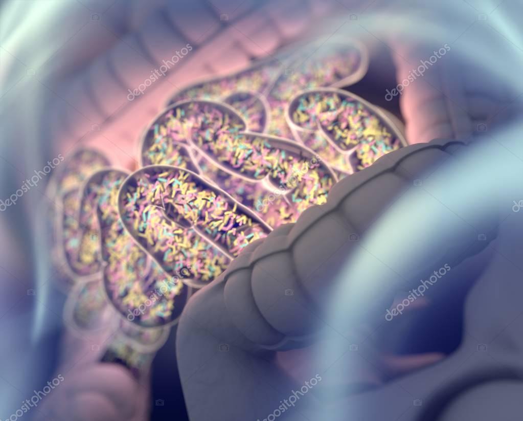 AnatomyInsider
